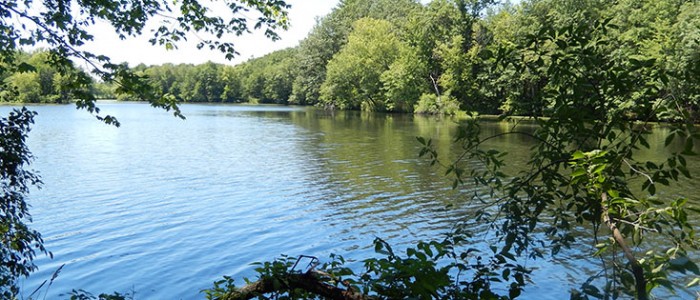 Home - Nashoba Conservation Trust